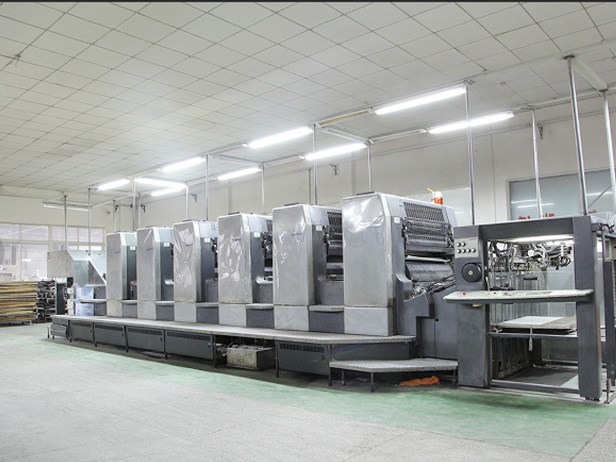 Heidelberg CD102 Split 6-Color Printing Machine