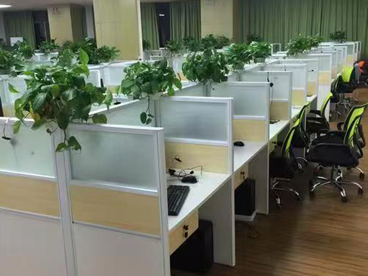 Company office area 4